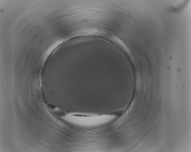 X0000070401226200606302003