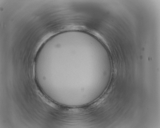 X0000070401227200606302003