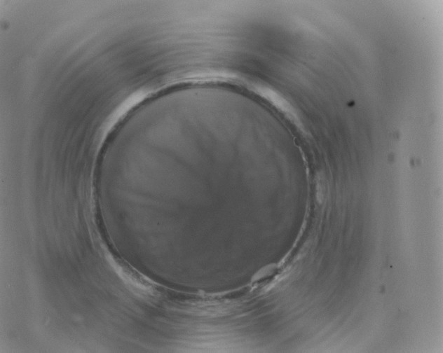 X0000070401229200606302003