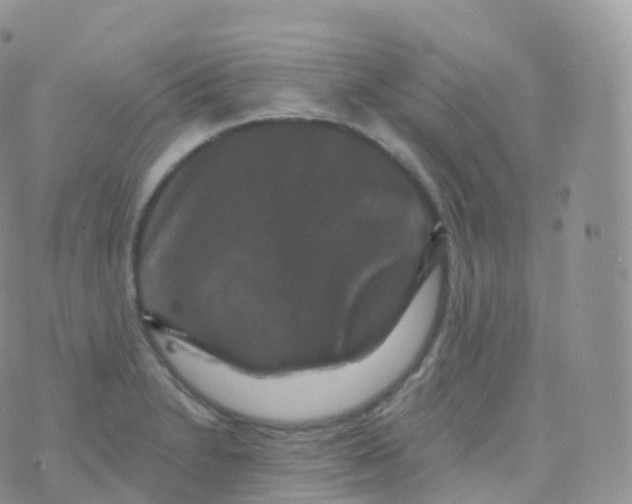 X0000070401230200606302003