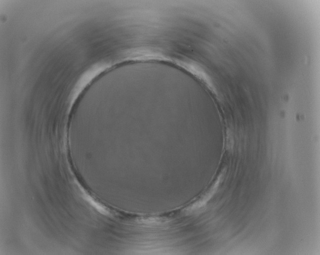 X0000070401231200606302003