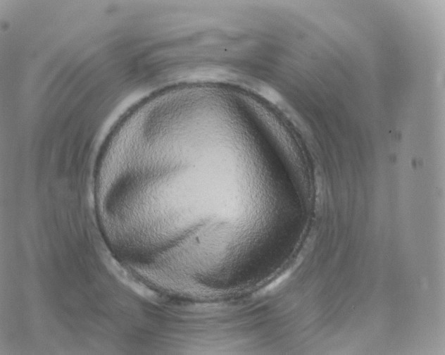 X0000070401232200606302003