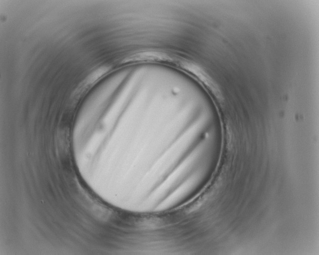 X0000070401233200606302003