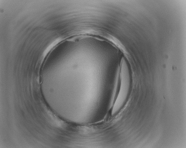 X0000070401234200606302003