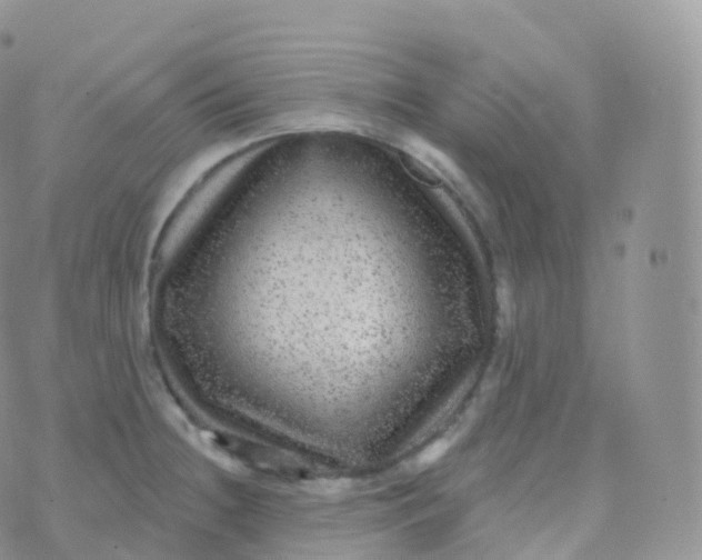 X0000070401236200606302003