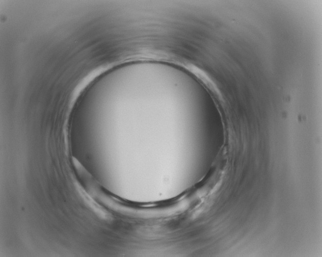 X0000070401238200606302003