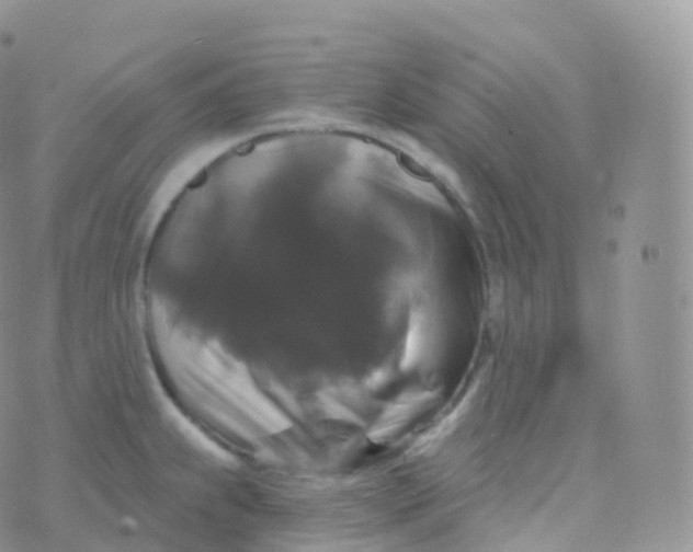 X0000070401239200606302003