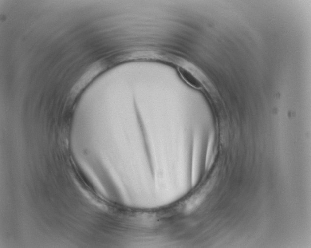 X0000070401241200606302003