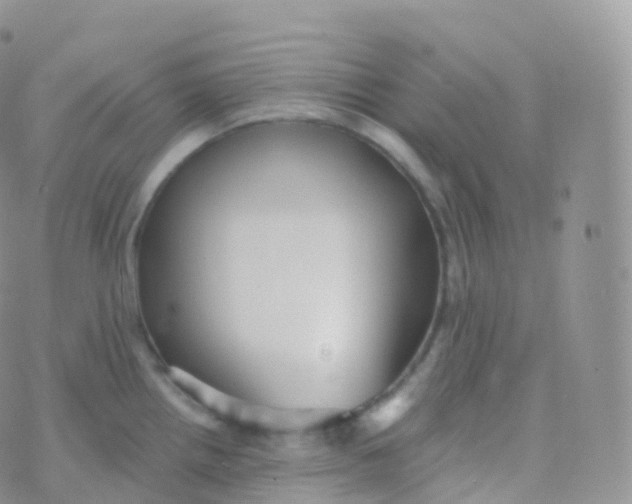 X0000070401242200606302003