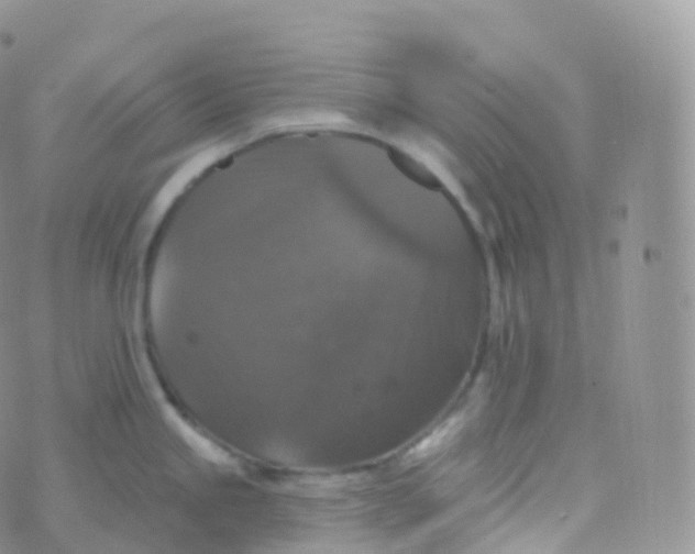 X0000070401245200606302003