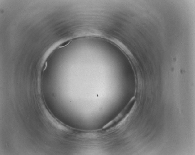 X0000070401246200606302003