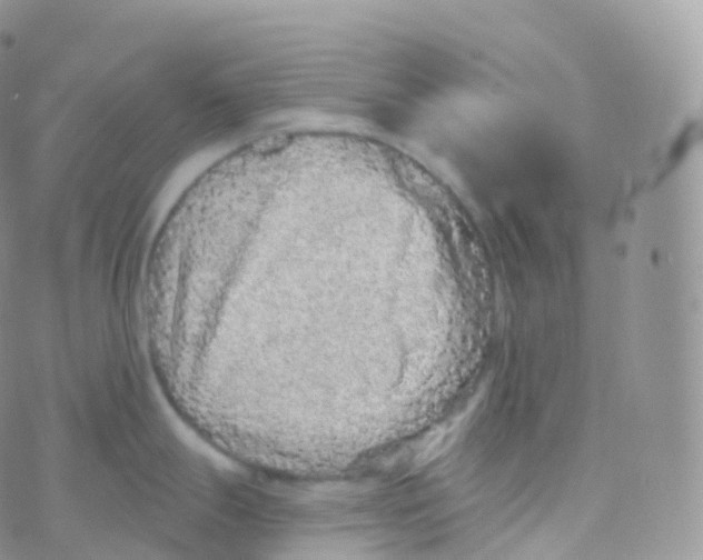 X0000070401247200606302003