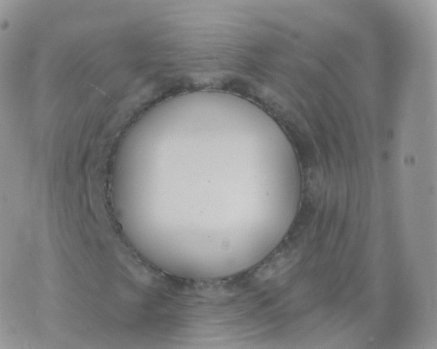 X0000070401249200606302002