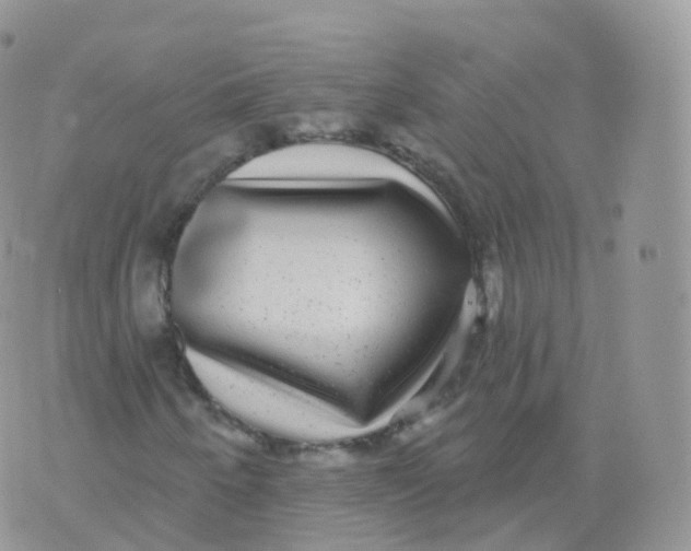 X0000070401250200606302002