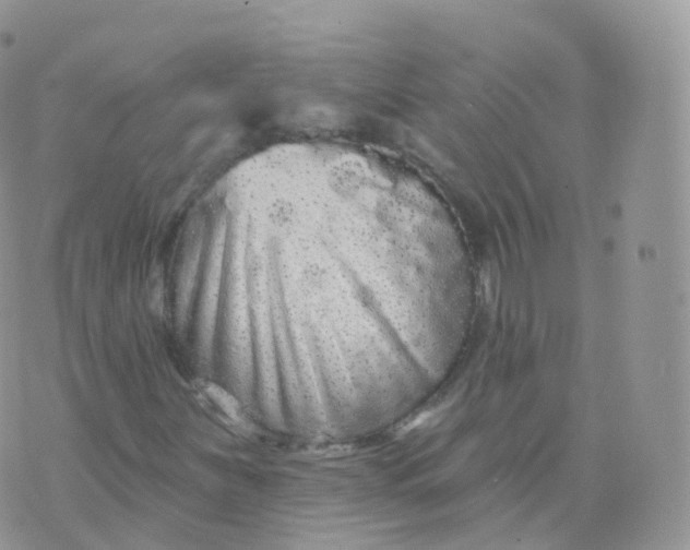 X0000070401251200606302002