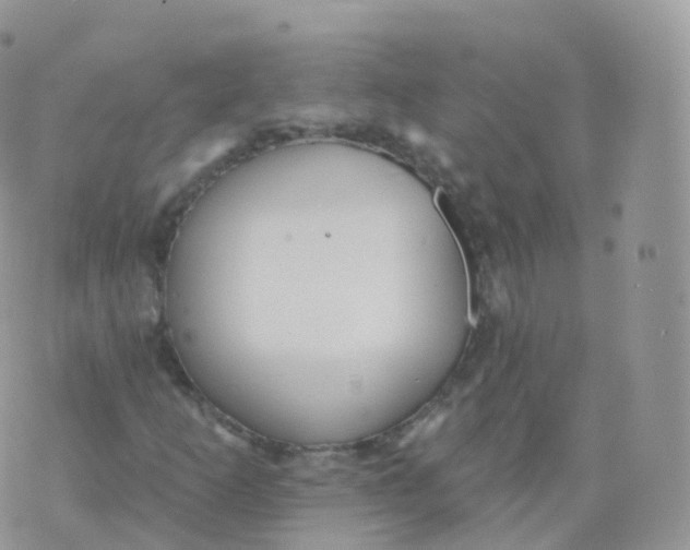 X0000070401253200606302002