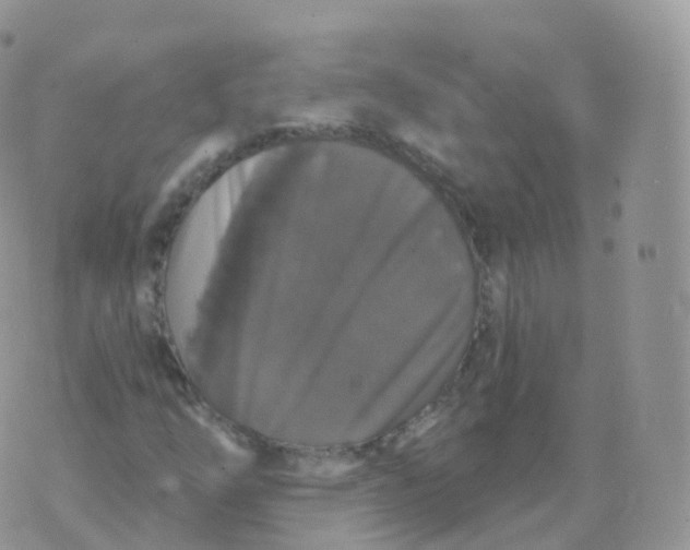 X0000070401254200606302002