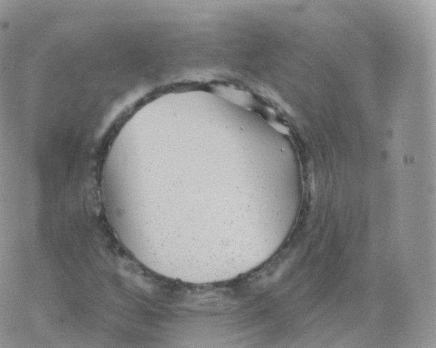 X0000070401256200606302002