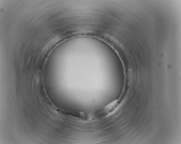 X0000070401257200606302002