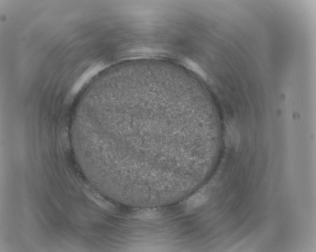 X0000070401259200606302002