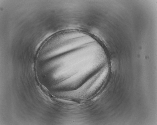 X0000070401260200606302002