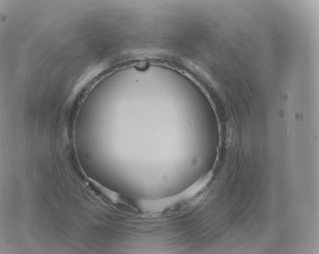 X0000070401261200606302002