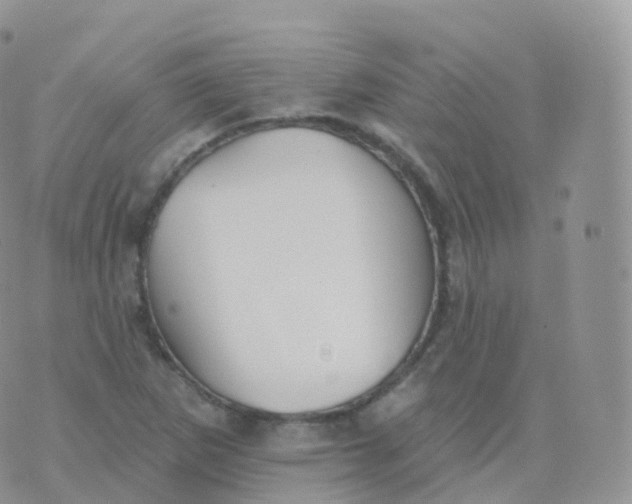 X0000070401265200606302002