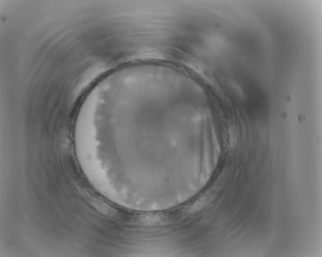 X0000070401266200606302002