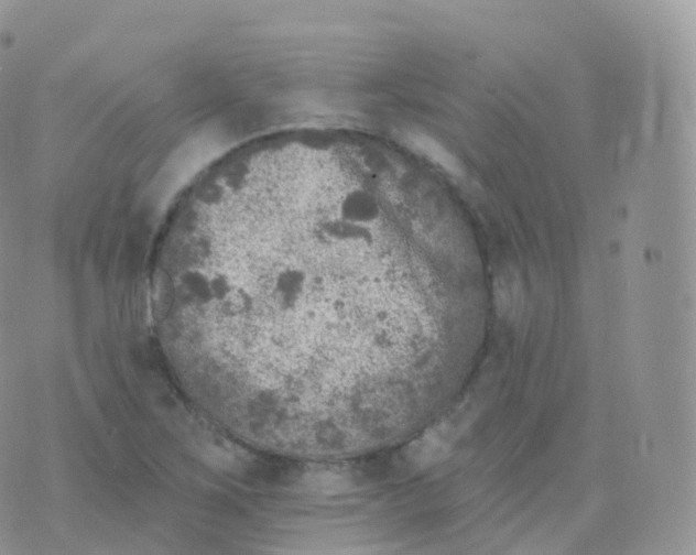 X0000070401267200606302002