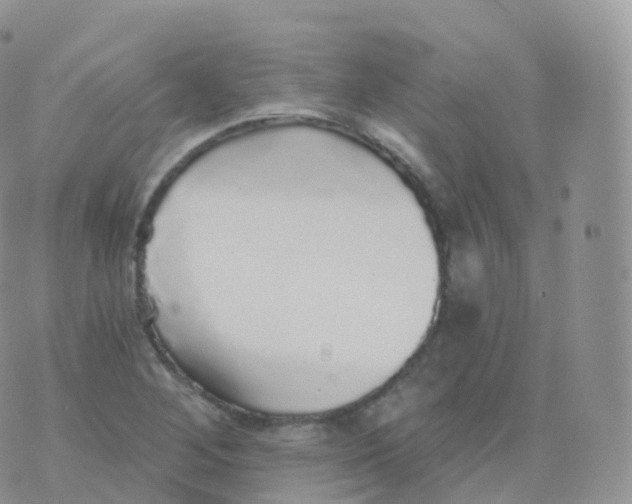 X0000070401268200606302002