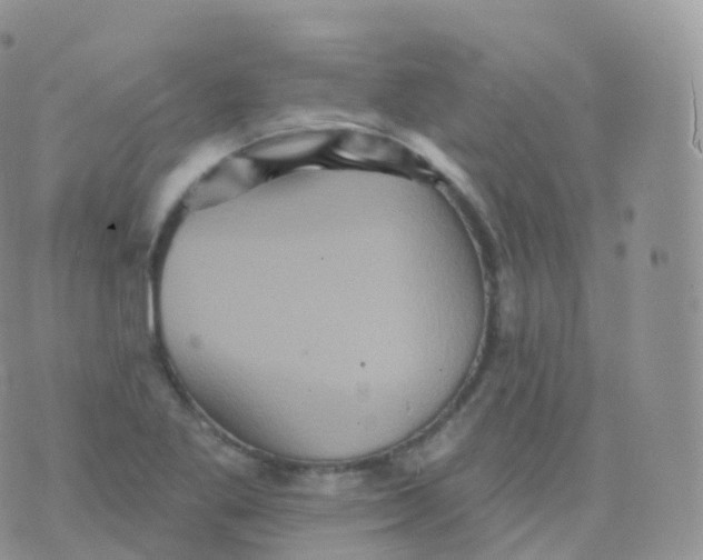 X0000070401269200606302002