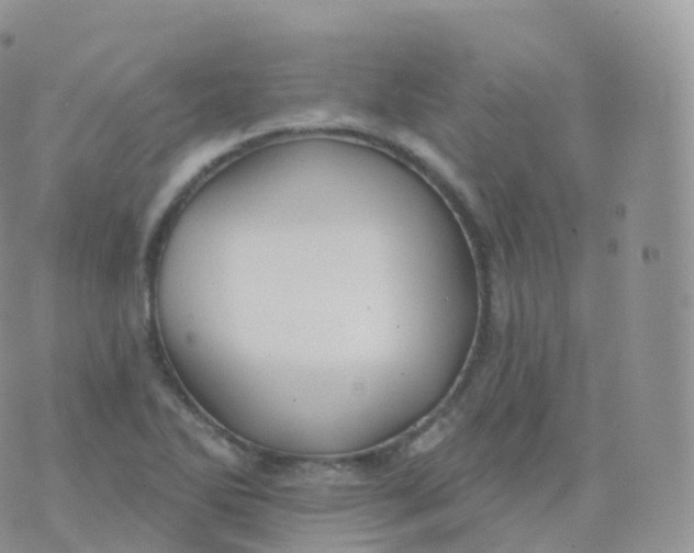 X0000070401270200606302002