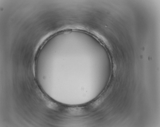 X0000070401272200606302002