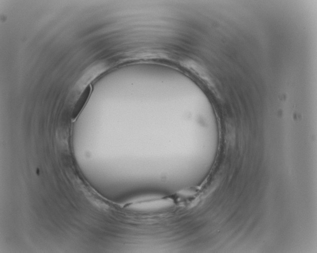 X0000070401273200606302002