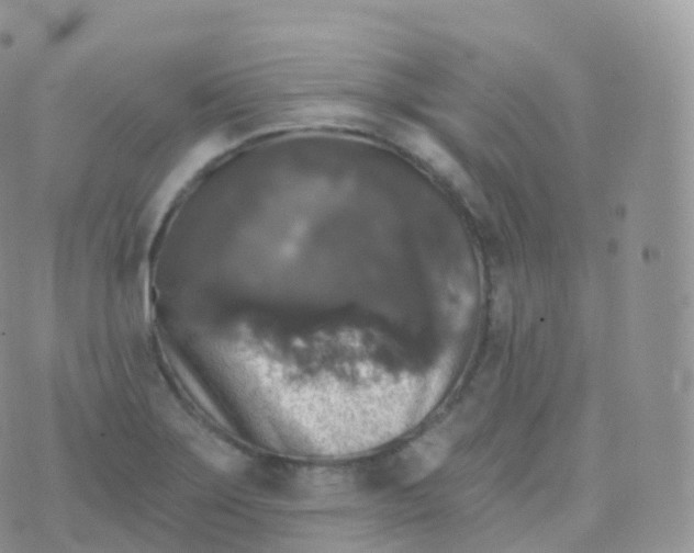 X0000070401275200606302002