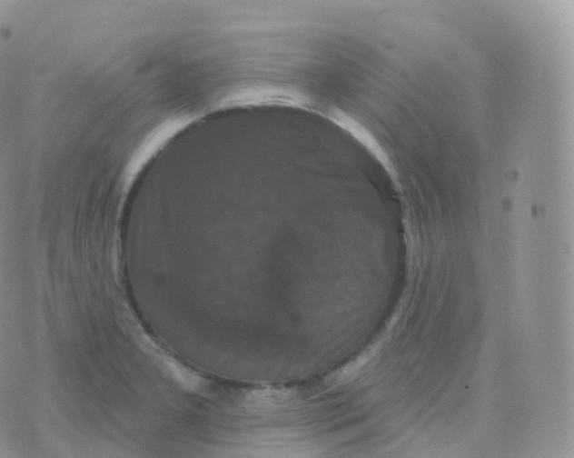 X0000070401277200606302002