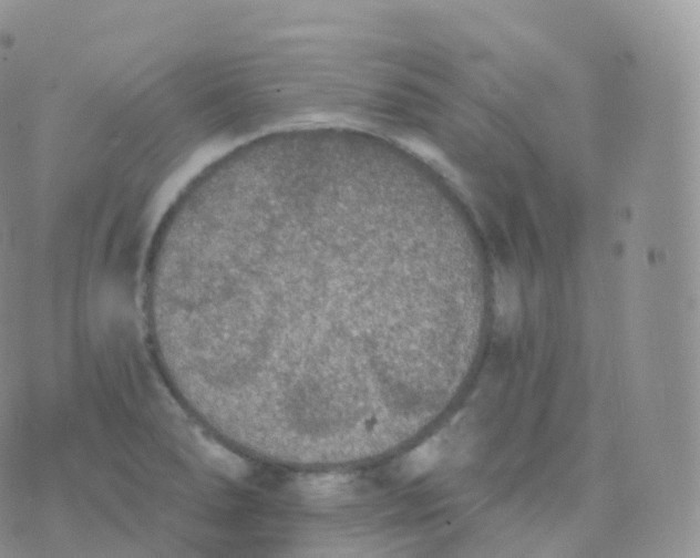 X0000070401278200606302002