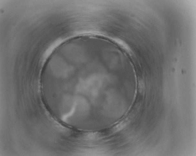 X0000070401279200606302002