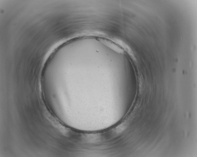 X0000070401280200606302002