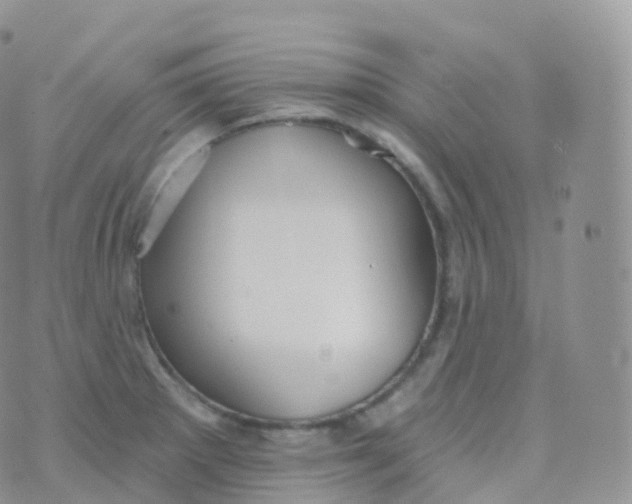 X0000070401281200606302002