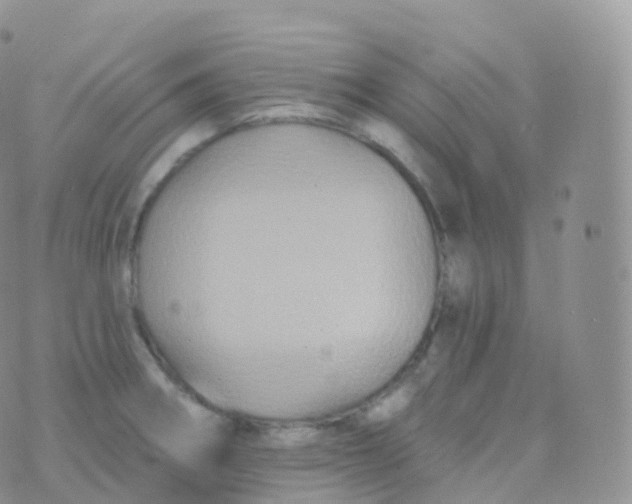 X0000070401282200606302002