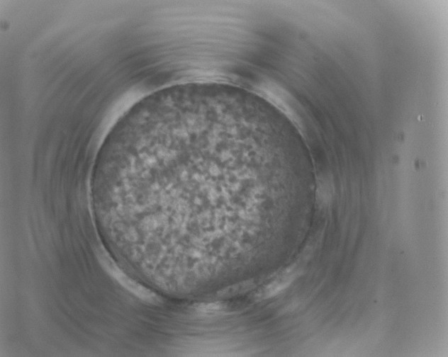 X0000070401283200606302002