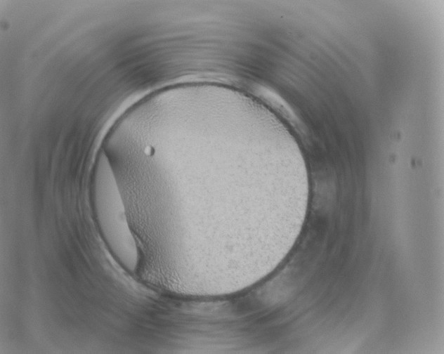 X0000070401284200606302002