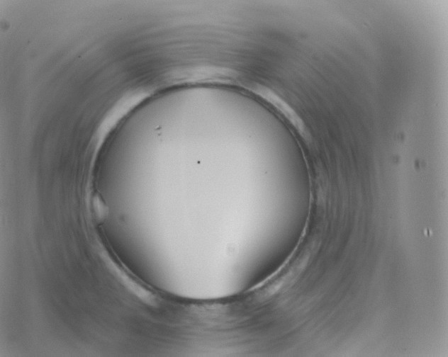 X0000070401285200606302002