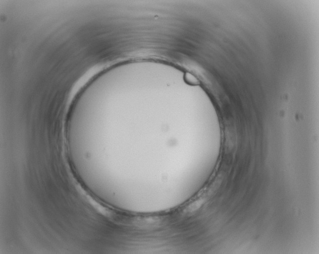 X0000070401286200606302002