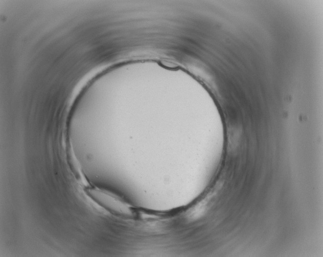 X0000070401288200606302002