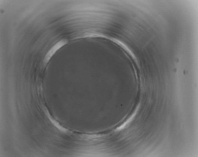 X0000070401289200606302002