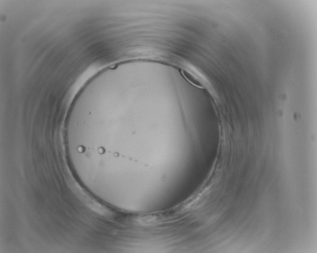 X0000070401291200606302002