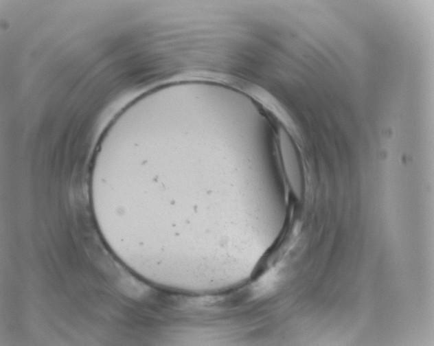 X0000070401292200606302002