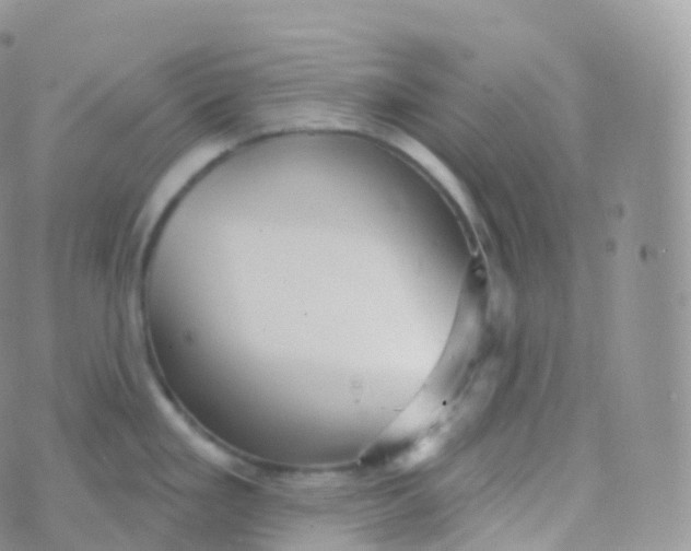 X0000070401293200606302002